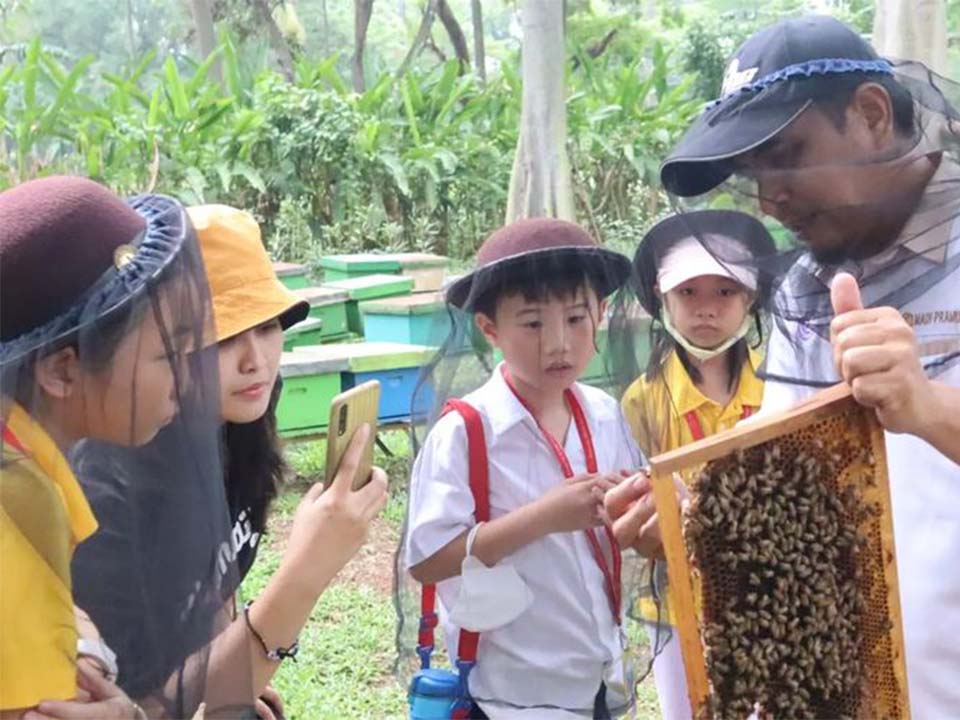 MADU PRAMUKA BUPERTA CIBUBUR